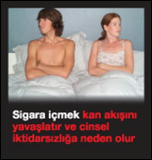 Turkey 2009 Health Effects sex - lived experience, impotence